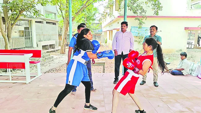 ఫలిస్