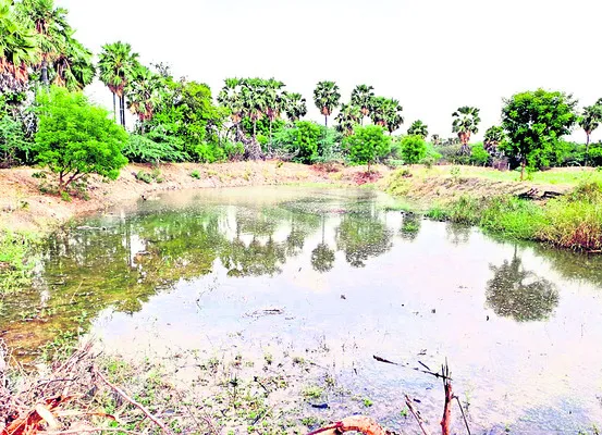 వాన నీటిని ఒడిసి పడుతున్న రైతు