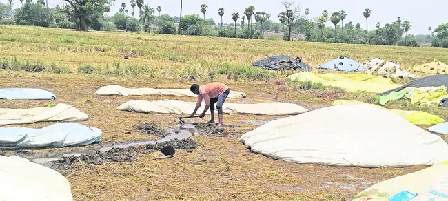 అకాల