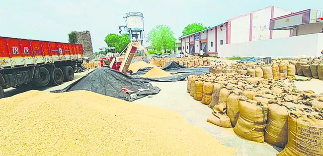 దండిగా ధాన్యం