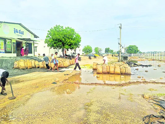 కేంద్రాల్లోనే మొలకెత్తుతున్నాయి