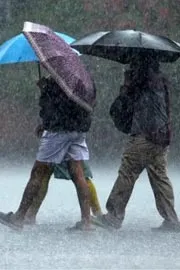 Heavy Rains For Five Days In Andhra Pradesh4