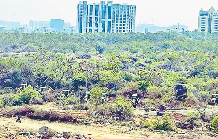 State government submits report to Supreme Court on Kancha Gachibowli lands