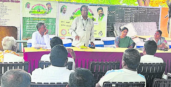 పచ్చిరొట్ట సాగుతో భూసారం పెంపు