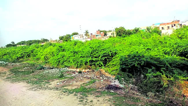 మాండవ