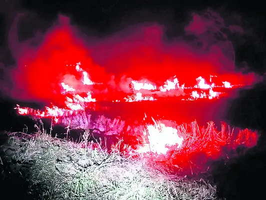 పాలేరు పొలాల్లో రాజుకున్న అగ్గి