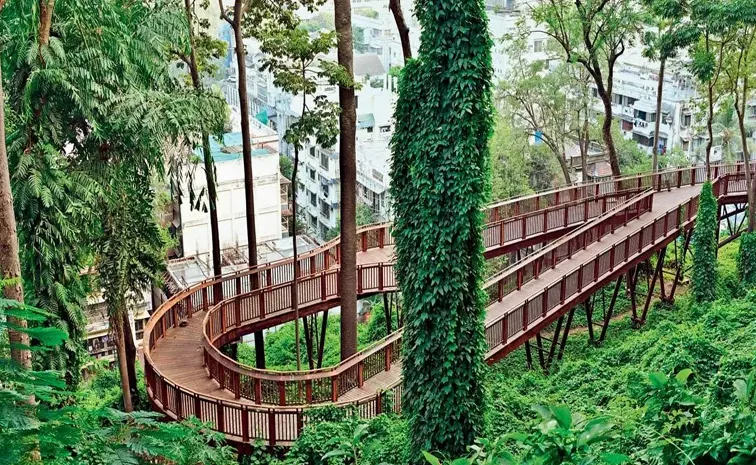 Mumbai first elevated forest walkway at Malabar Hill tourists rush
