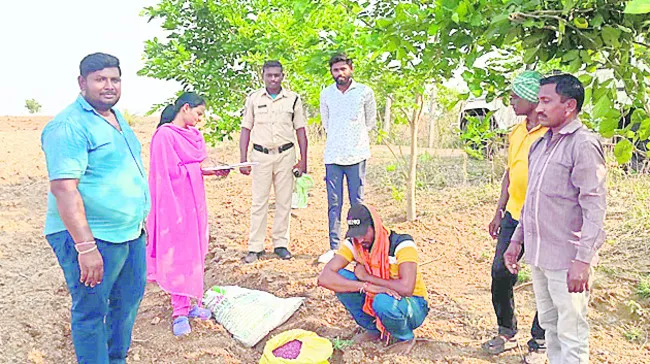 నకిలీ పత్తి విత్తనాలు పట్టివేత