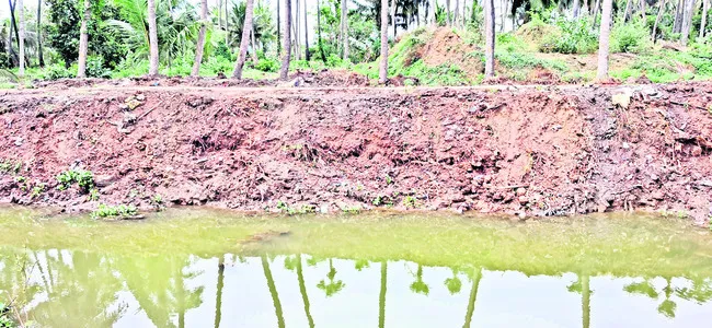 కాలువ గట్టు.. పూడిక తీసికట్టు