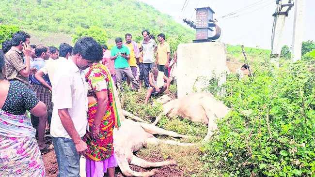 విద్య