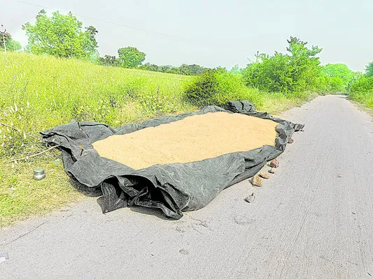 కల్లాల్లేక.. రోడ్లపైనే వడ్లు!