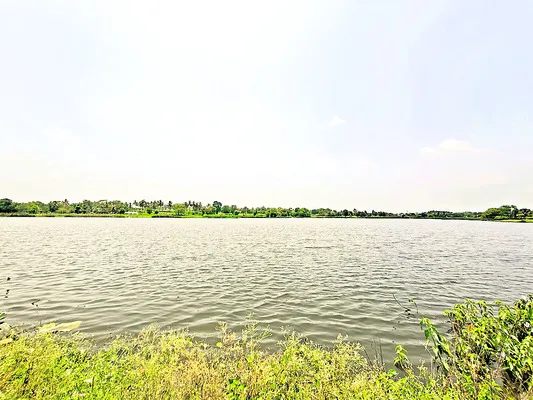 పలమనే