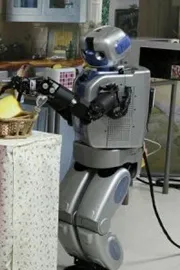 No leaves Ready to work all day Bangalore robo maids story1