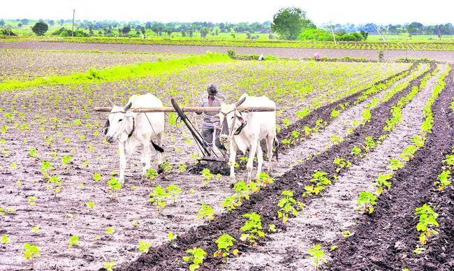 సాగు ప్రణాళిక ఖరారు