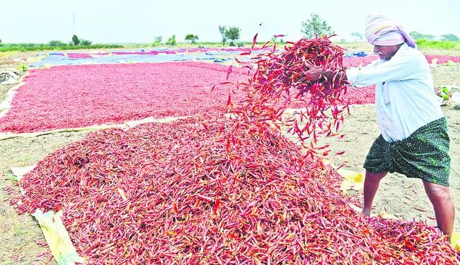 మిర్చ