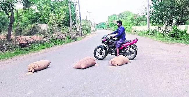 వైల్డ