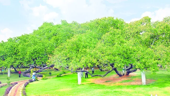 పాలమూరు అందాలు చూసొదా్దం