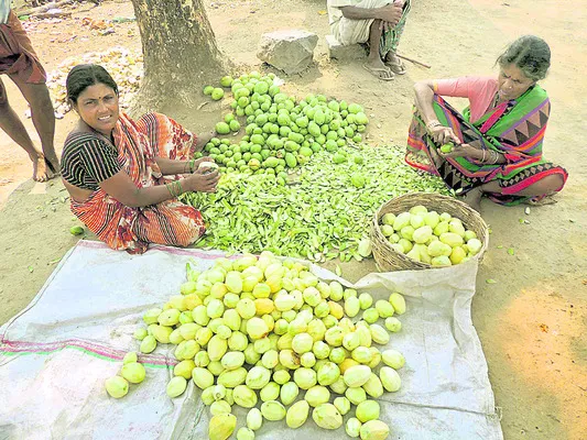 ఆమ్చూర్ ఆశలు ఆవిరి