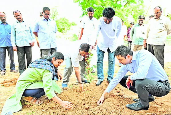 మొక్కలు సంరక్షించాలి