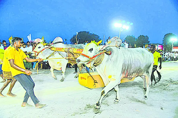 హోరాహోరీగా ఎడ్ల బండ లాగుడు పోటీలు 