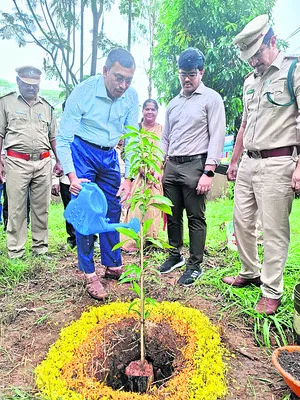 అటవీ