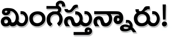 రోజుకు రూ.8 కోట్లపైనే వ్యాపారం 