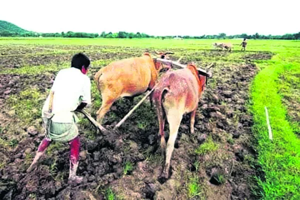 ఊపందుకున్న ఖరీఫ్ వ్యవసాయ పనులు