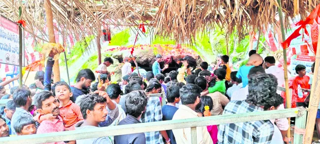 గుబ్బ