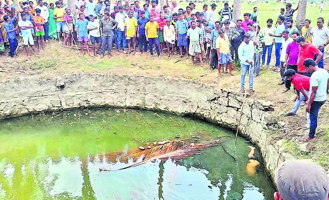 కిడ్న
