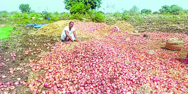 అకాల వర్షంతో తడిసిన ఉల్లి