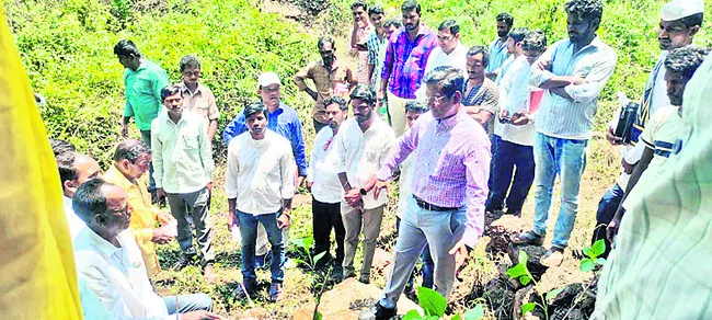 నాణ్య