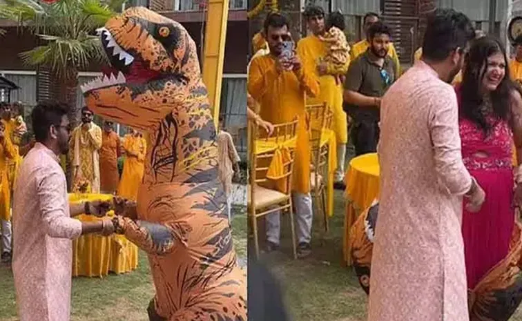 haldi ceremony Bride to be enters dressed as dinosaur viral video