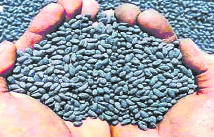 Task force to curb fake cotton seeds