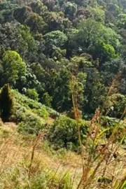 Do you like nature camping and forest trekking? check deets inside ​1