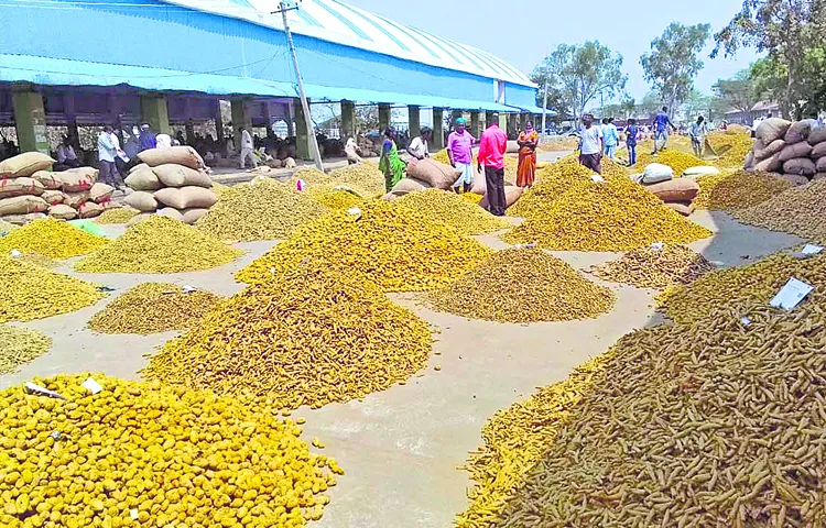 Huge supply of turmeric to Nizamabad market