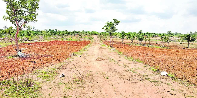 కబ్జా చెరలో 786 ఎకరాలు
