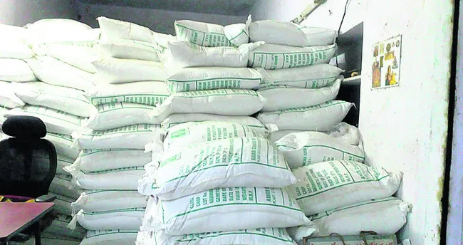 పచ్చిరొట్ట ధరలు రెట్టింపు