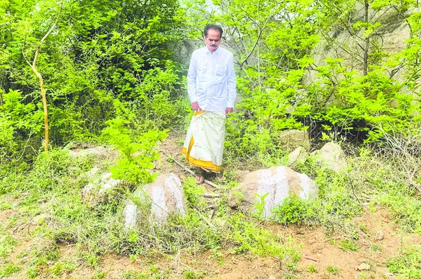 ఆమనగల