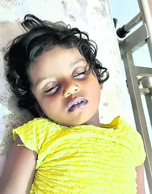 పాముకాటుతో   నాలుగేళ్ల చిన్నారి మృతి