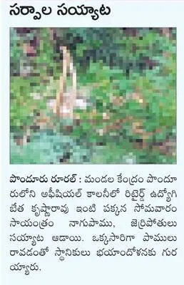పోడియ