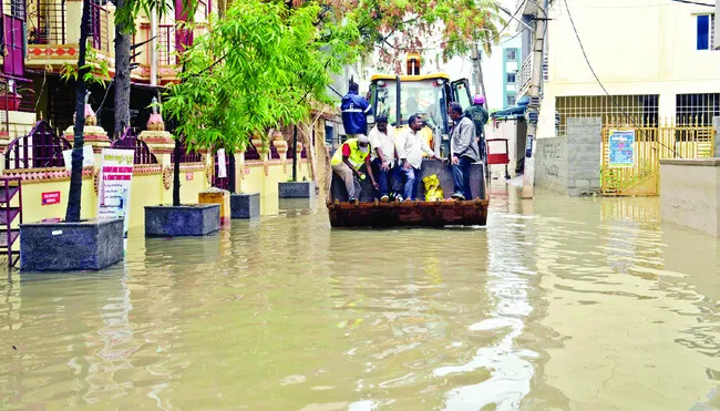 వాడవా