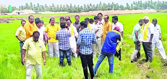 మంత్రిగారూ.. మెడికల్ కాలేజీ గుర్తుందా?