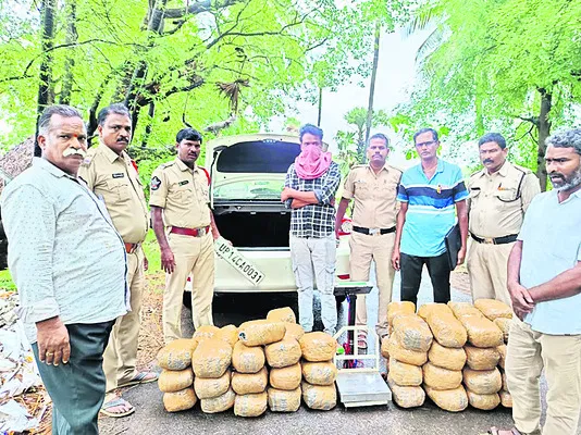 130 కిలోల గంజాయి పట్టివేత 