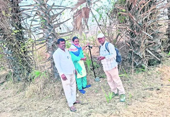 సర్వే