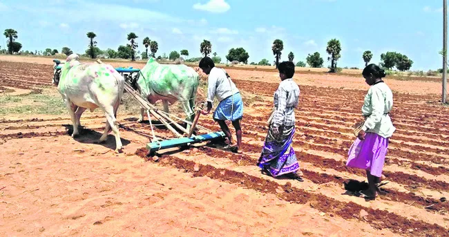 రుణపర