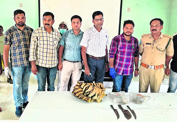 పులి చర్మం, గోళ్లు స్వాధీనం