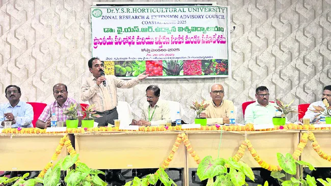 ఉద్యాన పంటల సాగుపై ప్రత్యేక శ్రద్ధ
