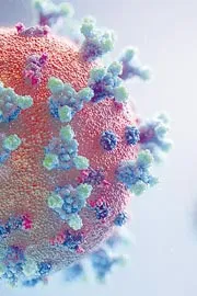 Covid-19: 257 Active Covid Cases Reported in India6