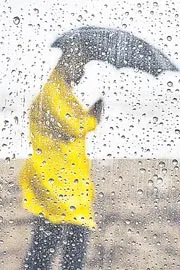 Monsoon Likely To Reach Kerala In 4-5 Days: IMD7