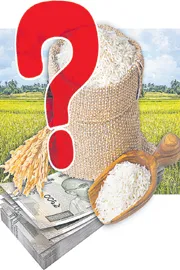 Farmers are waiting for bonus from Telangana govt9